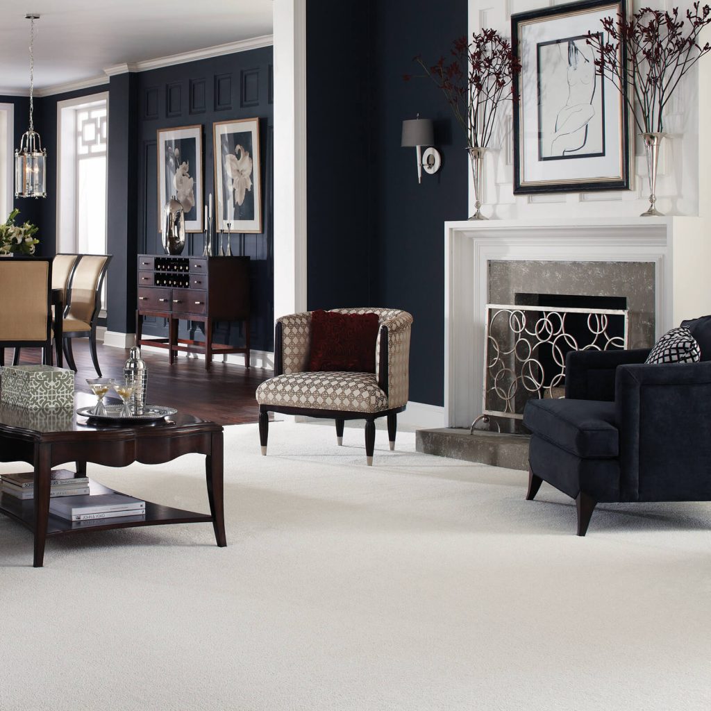 Best carpet design | Webb Carpet Company