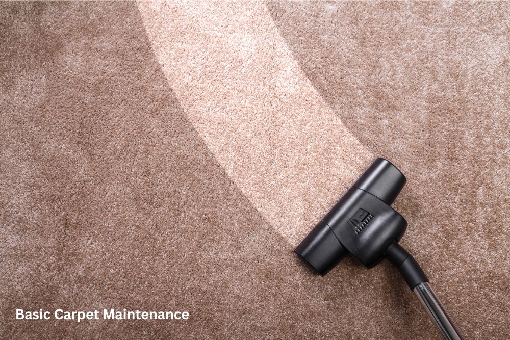 Carpet floor cleaning | Webb Carpet Company