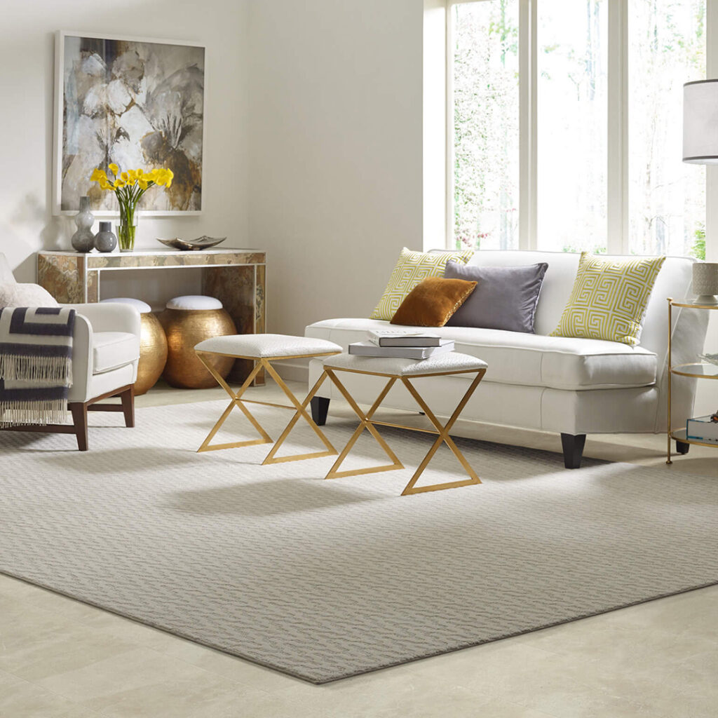 Area Rug | Webb Carpet Company