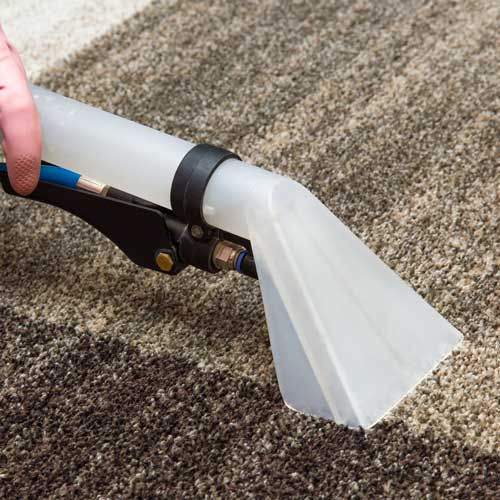 Floor Cleaning | Webb Carpet Company