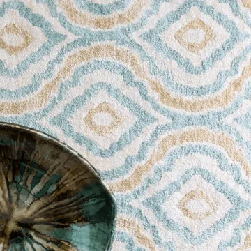 Area Rug | Webb Carpet Company