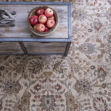 Area rug | Webb Carpet Company