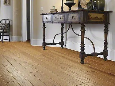 Prevention-maintenance | Webb Carpet Company