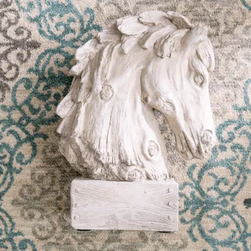 Area Rug | Webb Carpet Company