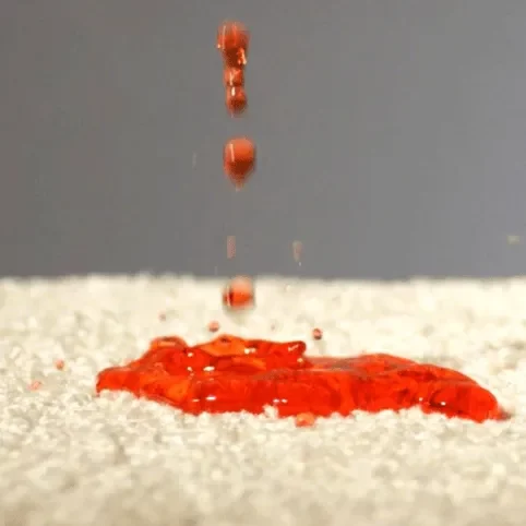 Carpet Spills | Webb Carpet Company